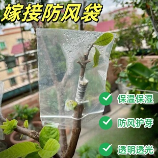 PE嫁接袋保温防雨水防春寒保护幼苗果树自封袋家用零食卡片收纳袋