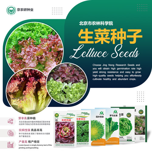 农科院生菜种子大全阳台菜园易种