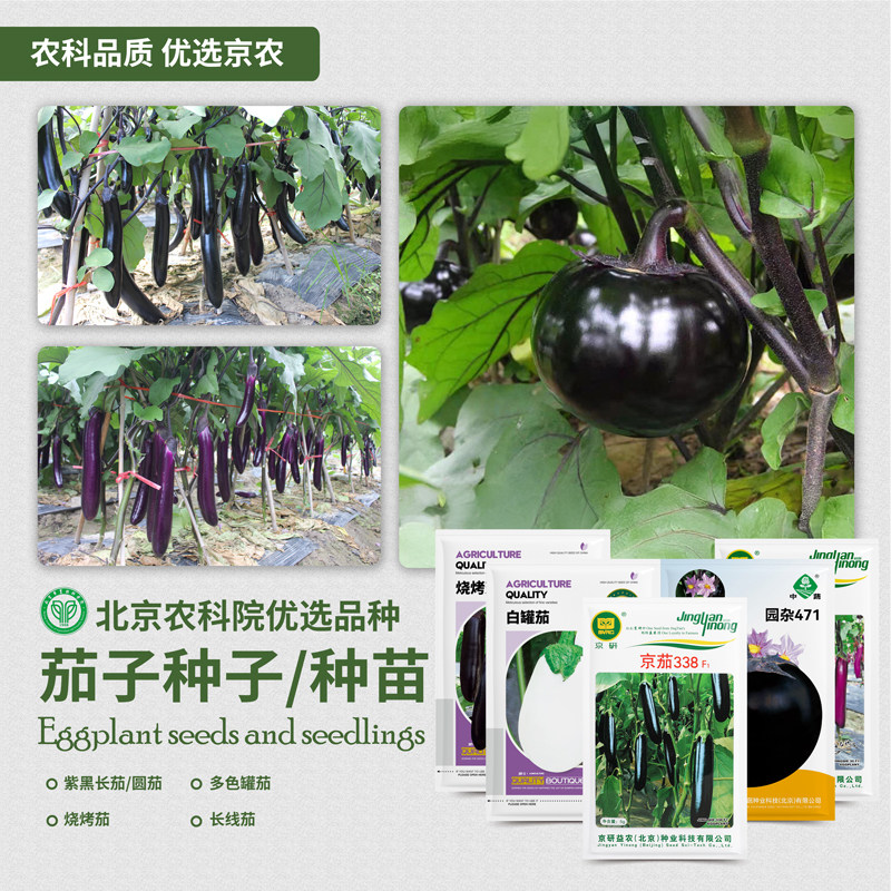 农科院茄子种子紫黑长茄苗圆茄绿茄子线茄鸡蛋茄家庭四季蔬菜籽孑