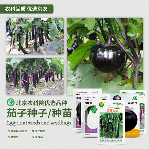 北京农科院茄子种子长茄罐茄圆茄