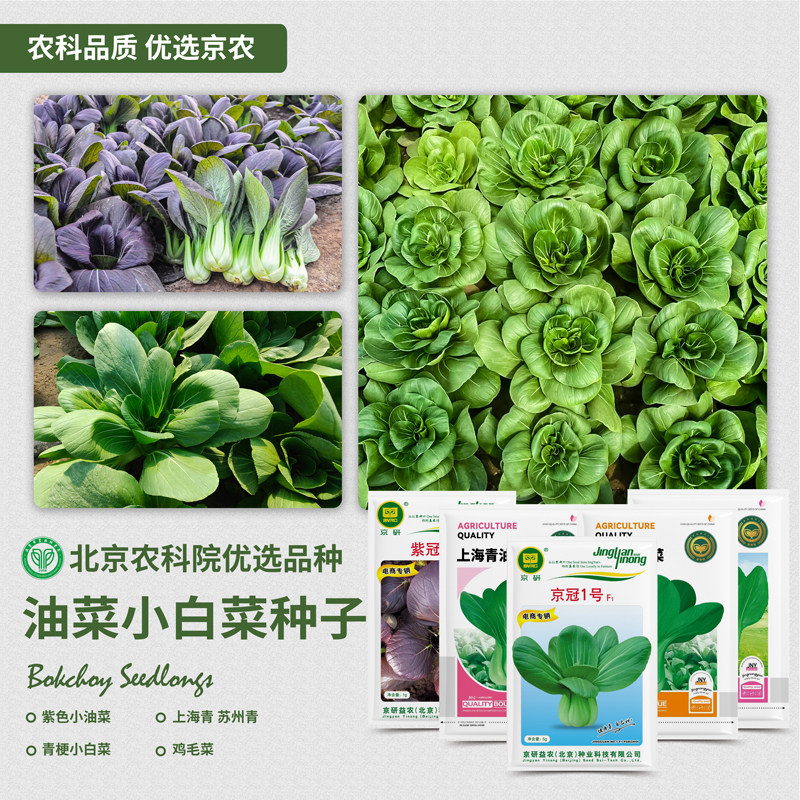 农科院小白菜种子快菜上海青梗小油菜鸡毛菜黄心乌塌菜蔬菜种籽孑