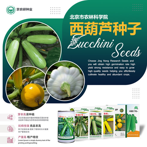 北京农科院西葫芦种子茭瓜抗病强