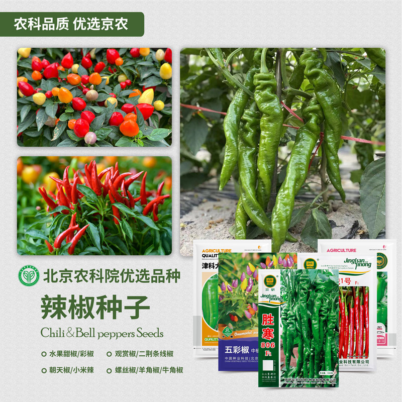 农科院辣椒种子朝天椒红黄甜椒二荆条线椒青椒柿子椒易种蔬菜籽孑