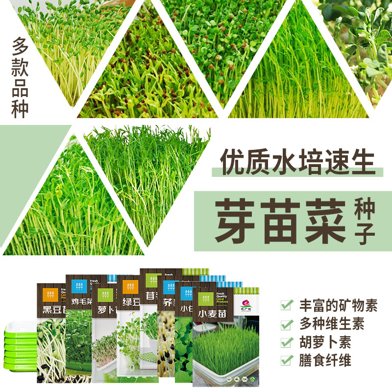 水培芽苗菜种子豌豆苗西蓝花芽菜种籽油葵松柳萝卜花生芽蔬菜种孑,农用物资,蔬菜种子/种苗,淘宝优惠券,粉丝福利购,淘宝优惠卷