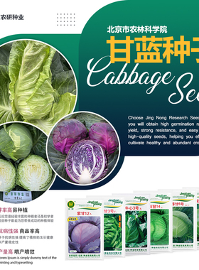 农科院甘蓝种子包菜卷心菜洋白菜牛心圆白菜孢抱子甘蓝易种蔬菜籽