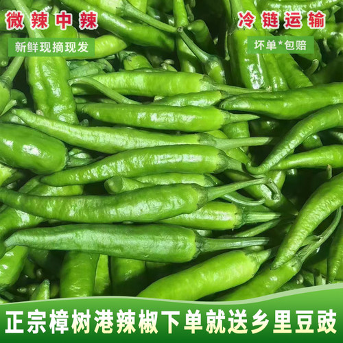 正宗樟树港富硒辣椒很好吃下饭菜