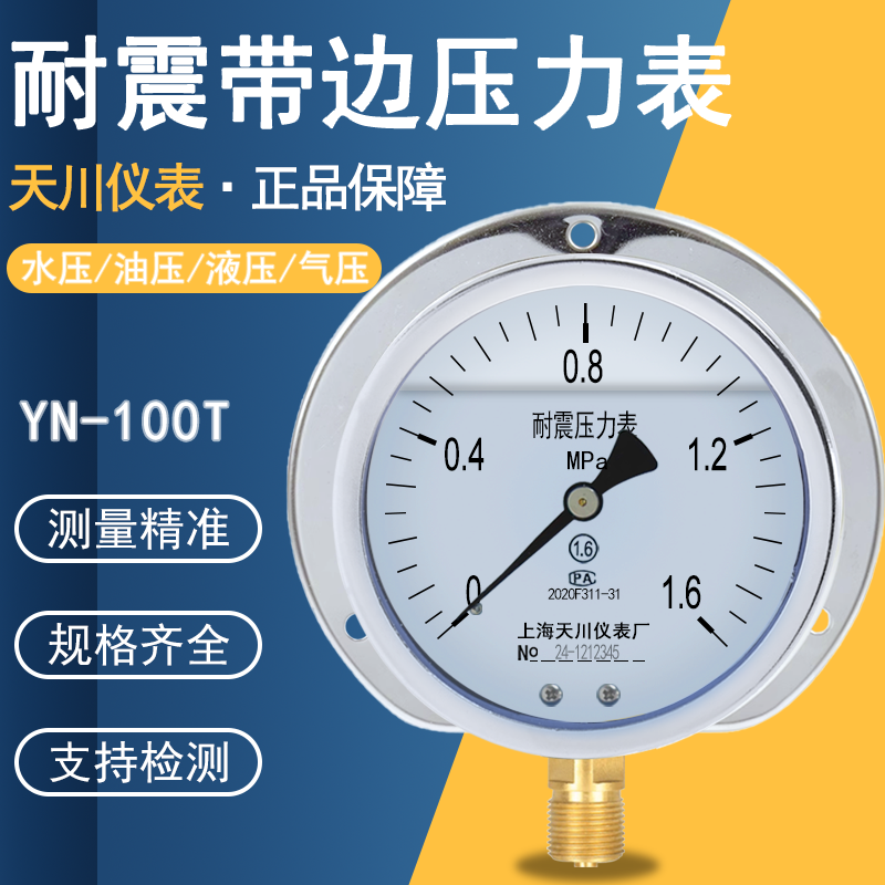 天川YN-100T径向带边耐震压力表