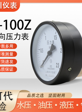 天川仪表Y-100Z轴向压力表储气罐用气压表M20厂家直销包空压机用