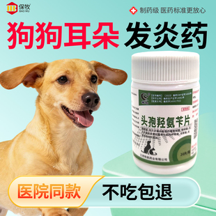 狗狗耳朵发炎药头孢羟氨苄片猫宠物兽用消炎药感冒咳嗽外伤中耳炎