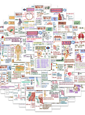 人体解剖128贴纸学生医学防水张创意笔记本手账手机diy学习创意