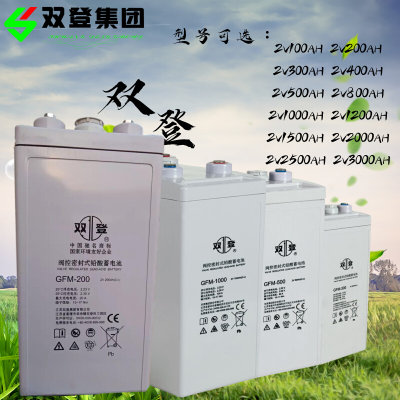 双登蓄电池GFM-300AH2V100AH200AH400AH500AH600AH1000AH通信机房