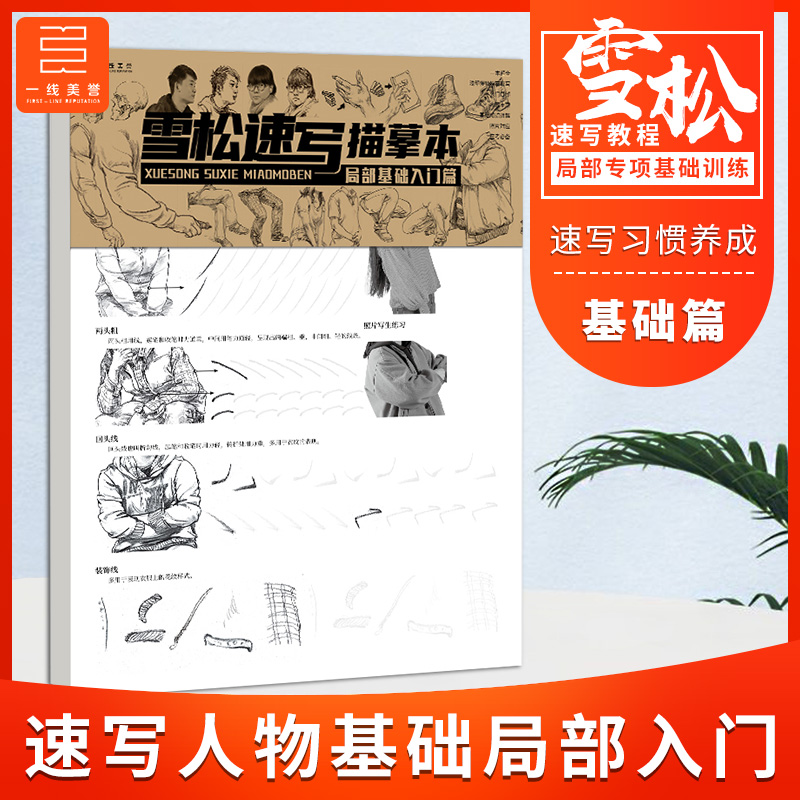 速写局部基础入门临摹训练