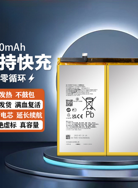 适用于OPPO Realme真我pad X平板电池RMP2107/2108BLT005全新电版