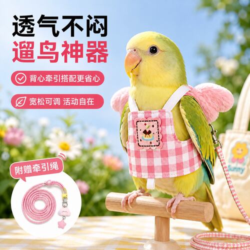 鹦鹉牵引绳背心飞行服遛鸟绳神器虎皮玄凤牡丹和尚小鸟外出放飞绳