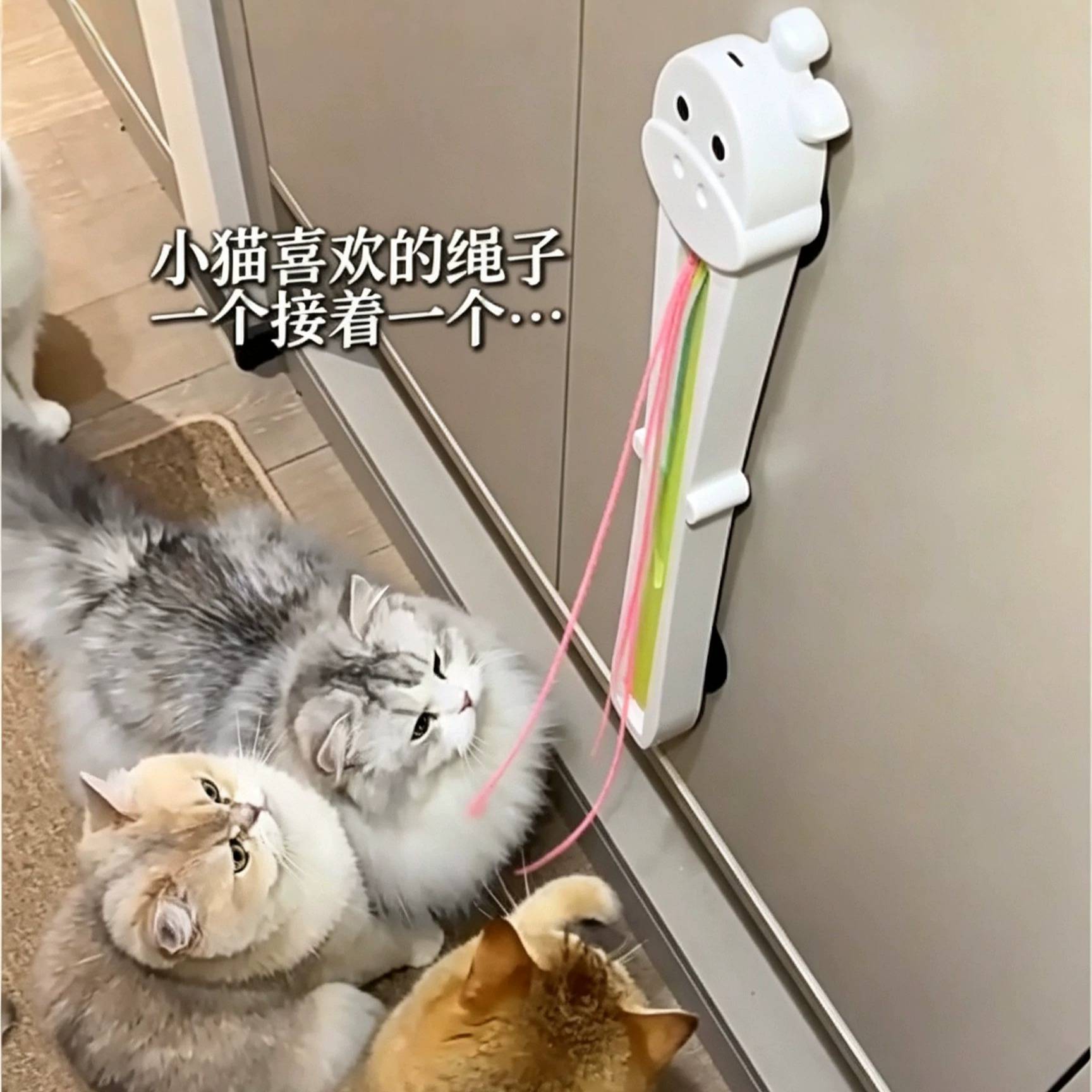 充电智能甩绳逗猫棒贴墙猫咪滚绳机模仿捕猎自嗨解闷宠物猫咪玩具
