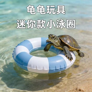 龟龟迷你游泳圈玩具戏水宠物龟缸造景仰泳可爱鱼缸装饰小乌龟泳圈