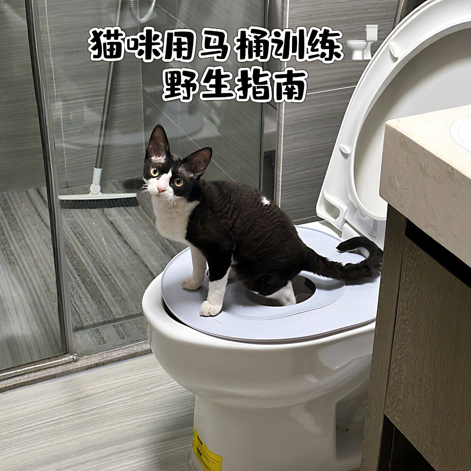 告别猫砂盆！猫咪马桶训练器环保易清洗防外溅款宠物坐便器引导垫