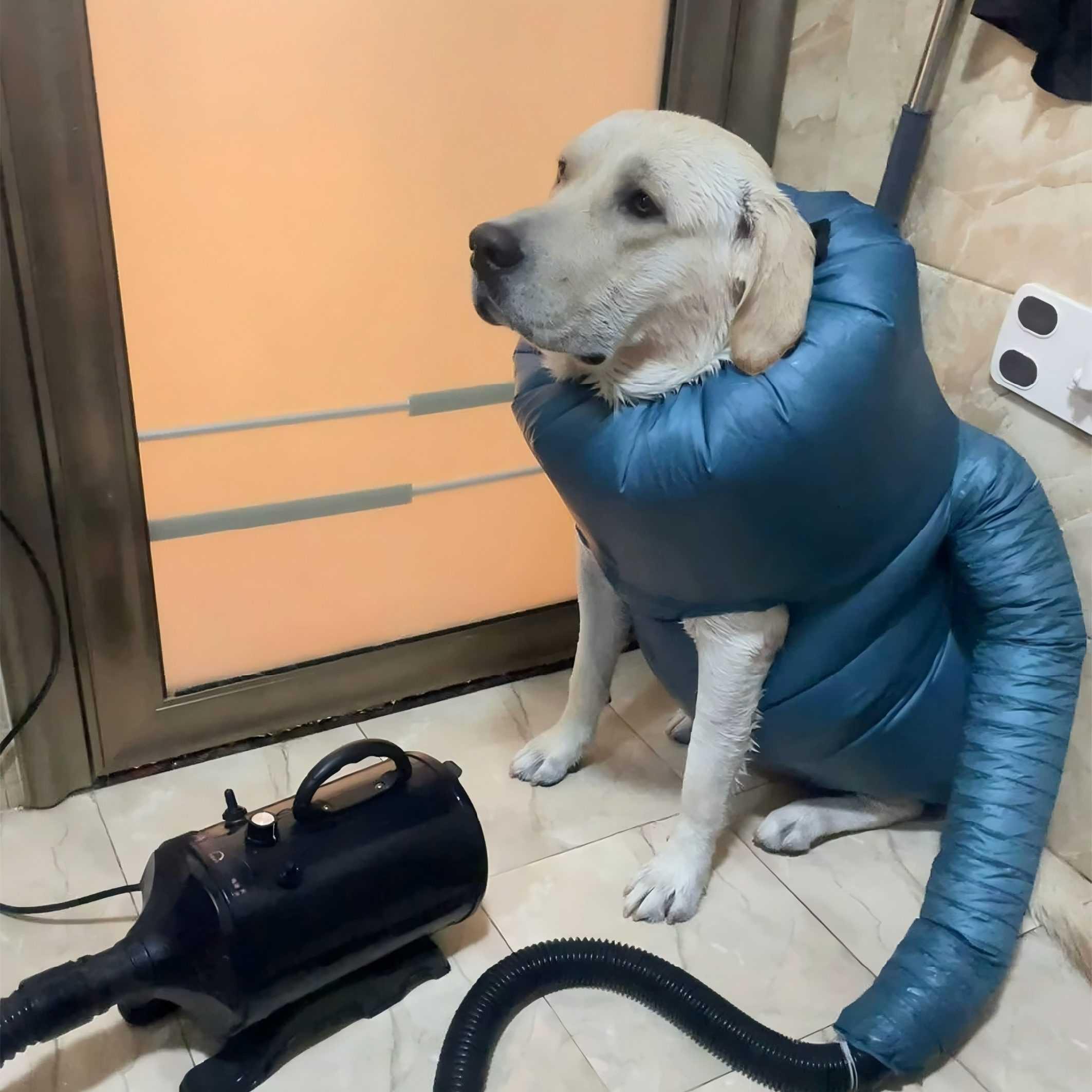 宠物烘干袋吹毛神器狗狗大型犬专用洗澡吹风机吹风筒电吹风箱自动