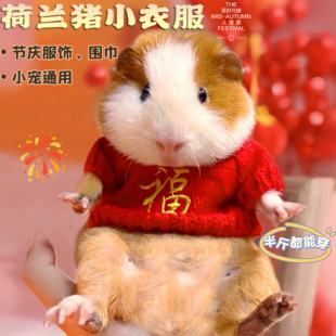 宠物荷兰猪衣服喜庆可爱超小码四季款侏儒兔豚鼠龙猫金丝熊新年装