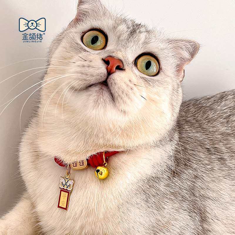 猫咪项圈猫牌项链狗吊牌猫铃铛刻字防丢可爱脖圈幼猫颈圈宠物幼犬