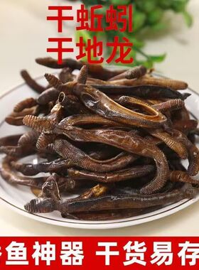 野生青蚯蚓干地龙干鱼饵黄鳝饵料鲜蚯蚓晒干钓鱼捕黄鳝黑蚯蚓地龙