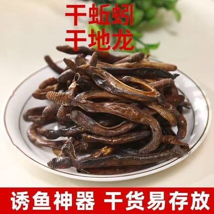 野生青蚯蚓干地龙干鱼饵黄鳝饵料鲜蚯蚓晒干钓鱼捕黄鳝黑蚯蚓地龙