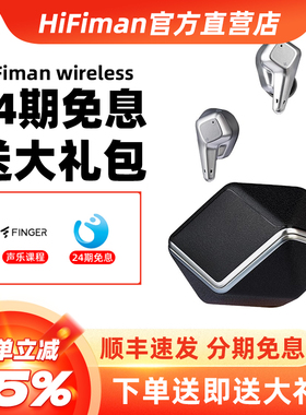 HIFIMAN海菲曼Svanar Wireless天鹅主动降噪真无线蓝牙耳机入耳式