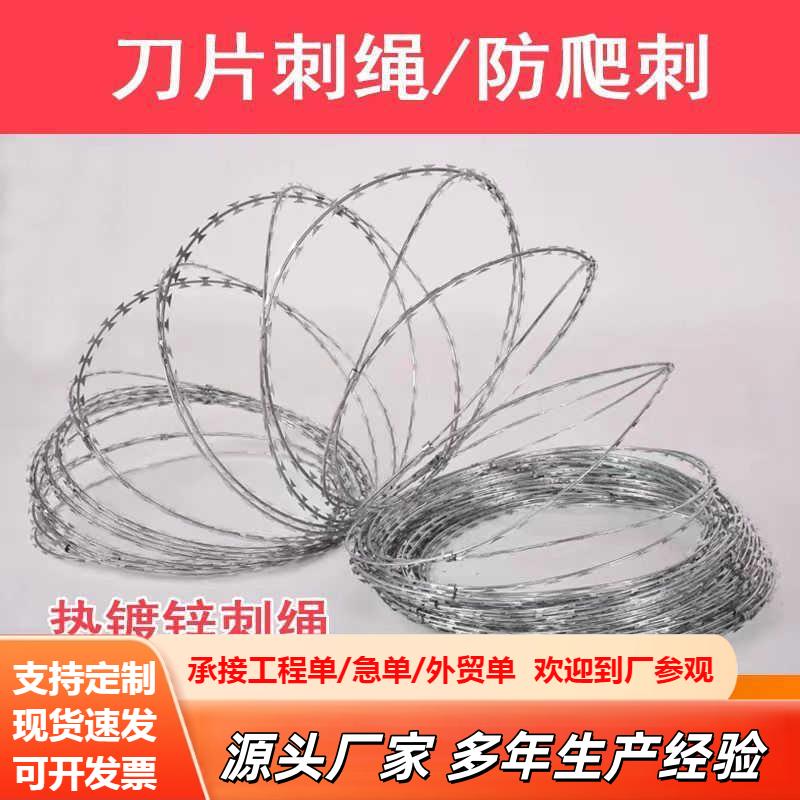 刀片防护网铁丝网刺绳防锈刺网刺丝滚笼带刺不锈钢围墙防盗防爬图片
