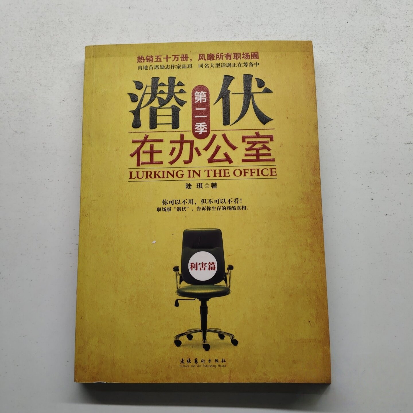 正版旧书 潜伏在办公室：第二季 陆琪 著 文化艺术出版社 2009-12