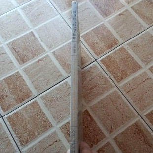 正版 汤加丽人体艺术摄影 石松摄影人民美术出版社2004年原版书籍