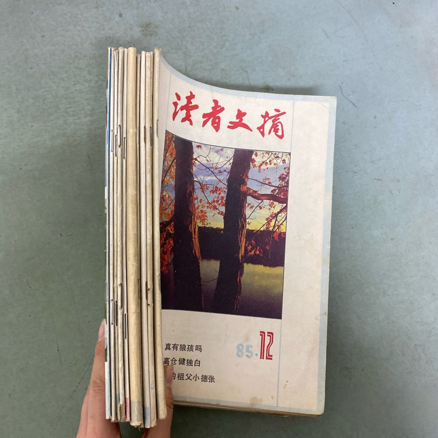 正版旧书 读者文摘 1985年 月刊 全年1-12期总第42-53期共12本合售 主编: 读者文摘编辑部 读者文摘杂志社