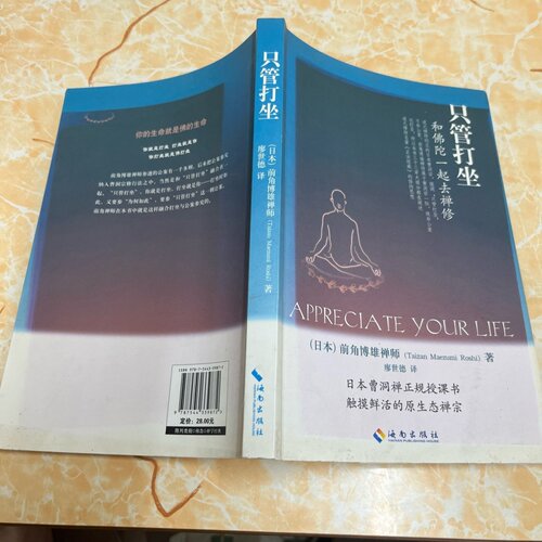 正版旧书 只管打坐：和佛陀一起去禅修 [日]前角博雄禅师（Taizan Maezumi Roshi） 著； 廖世德 译 / 海南出版社 / 2011-10 /