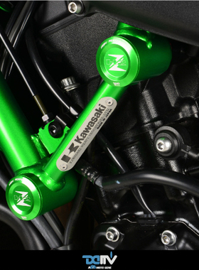 德国 DIMOTIV KAWASAKI 川崎 ZH2 车身车架防尘饰盖护盖 DMV