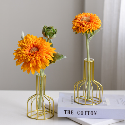 速发透明饰璃花瓶摆件风简意创约客厅干花插花器餐桌面装玻品