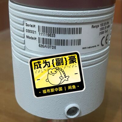 MKS 626A13TDE真空压力计 量程133.32