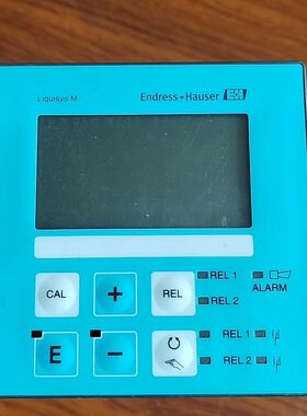 E+H恩德豪斯电导率表头CLM223-CD0005 拆机功能