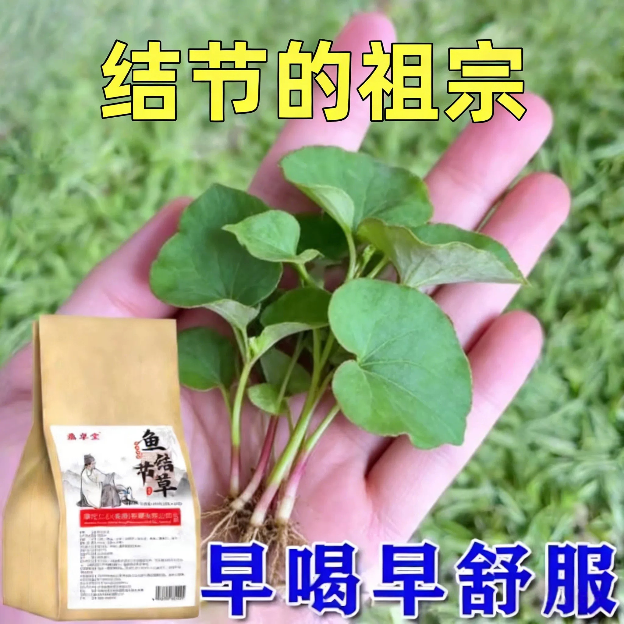 结节拜拜】肺结节散结茶润肺养肺茶消除磨玻璃结节的去肺结节茶包