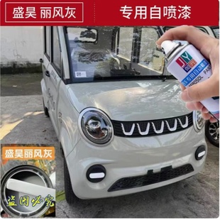 盛昊电动车丽风灰色自喷漆冰淇林色专用车漆补漆笔四轮车划痕修复
