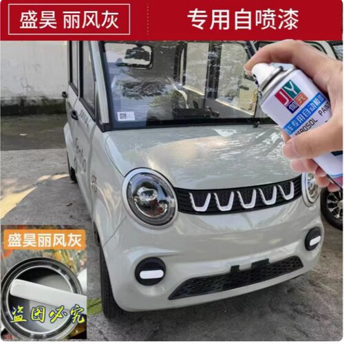 盛昊电动车丽风灰色自喷漆冰淇林色专用车漆补漆笔四轮车划痕修复
