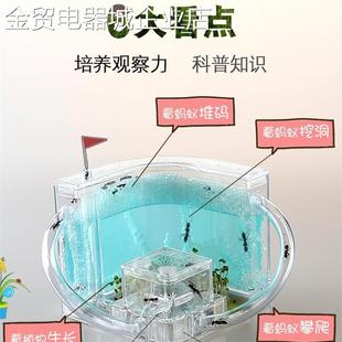 大型生态蚁蚁窝对战版活体蚂蚁家园农场箱养活物王国蚁盒子蚁后送