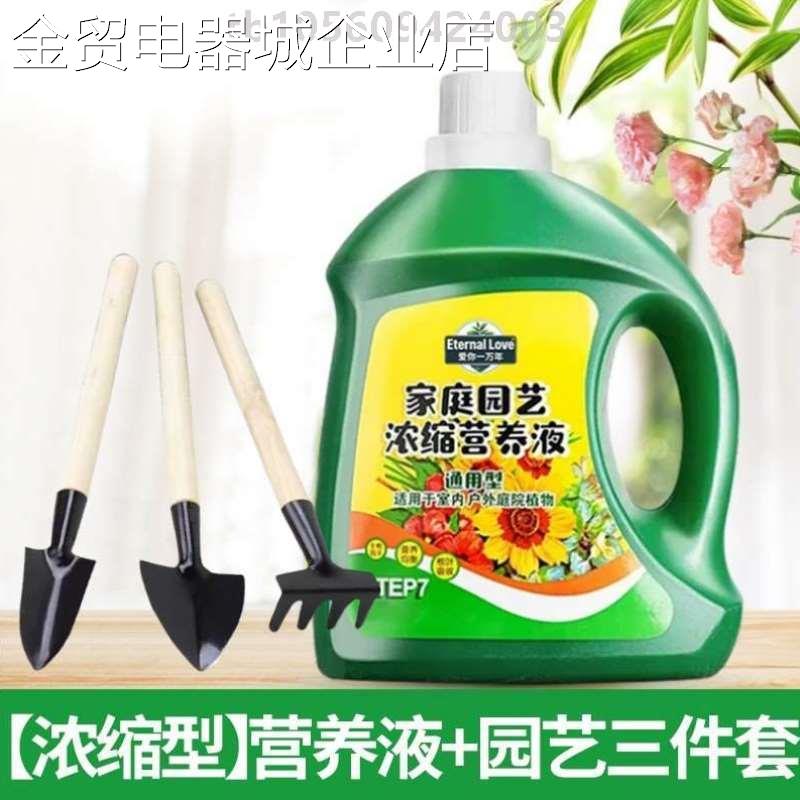 家用富贵竹发财树盆景[绿植稀生根盆栽君子兰种菜释绿萝水培通用