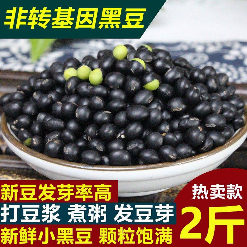 东北农家自种绿芯黑豆打豆浆专用乌豆  青仁黑豆  新货绿芯