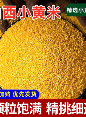 山西农家黄小米新米月子米宝宝米养胃小米粥五谷杂粮多规格可选
