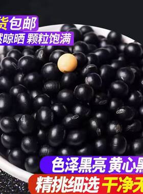 东北黑龙江农家新货黄芯小黑豆非转基因打豆浆生豆芽粗粮杂粮