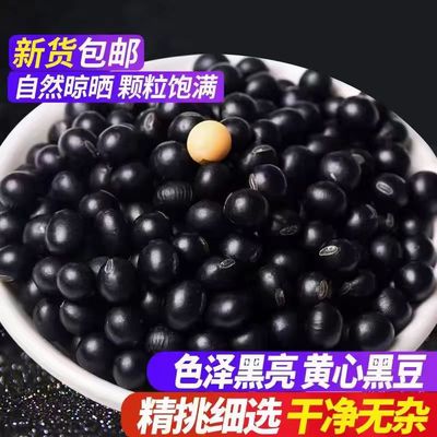 东北黑龙江农家新货黄芯小黑豆非转基因打豆浆生豆芽粗粮杂粮