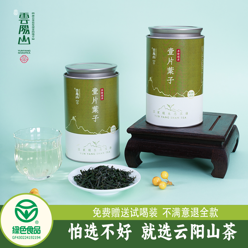 云阳山茶绿茶2024新茶高山绿茶罐装一级湖南绿茶浓香型茶叶自己喝