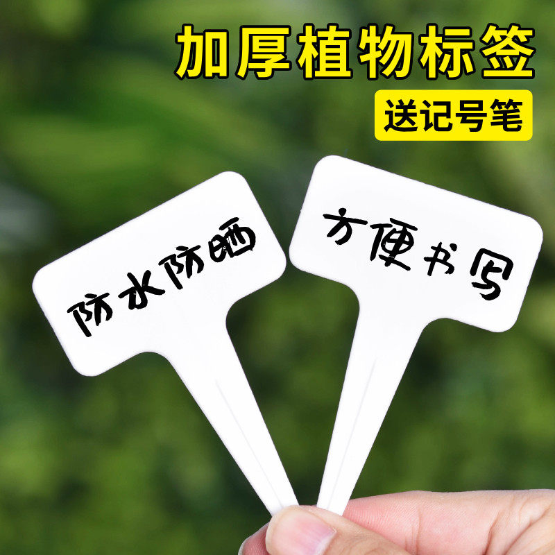 多肉标签T型防水1字型插牌园艺植物花卉塑料标记标识牌小标注神器