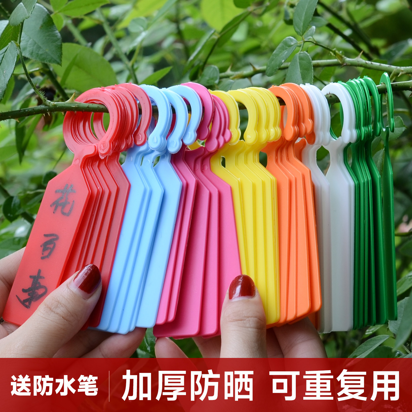 园艺标签插牌吊牌防水环扣植物挂牌标识卡塑料加厚多肉小标签工具