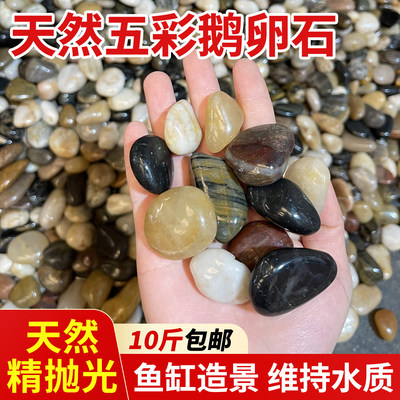 天然鹅卵石鱼缸造景底砂装饰溪流石原生天然小石头石子五彩鹅软石
