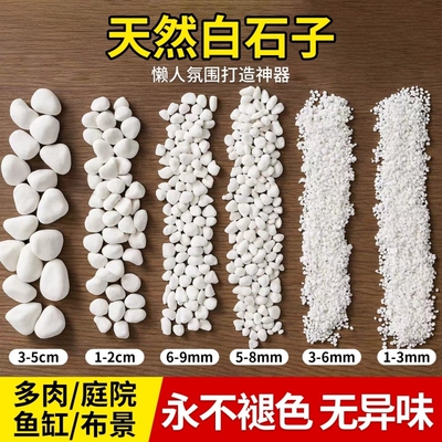 【净水养水】白石子庭院造景鱼缸